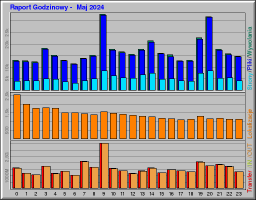 Raport Godzinowy -  Maj 2024