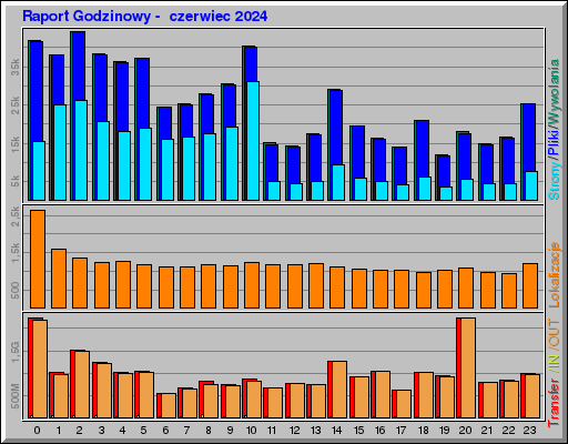 Raport Godzinowy -  czerwiec 2024