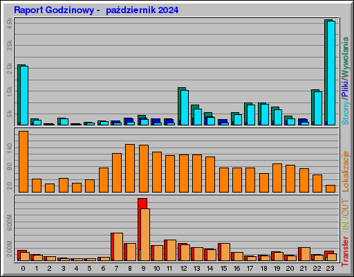 Raport Godzinowy -  październik 2024