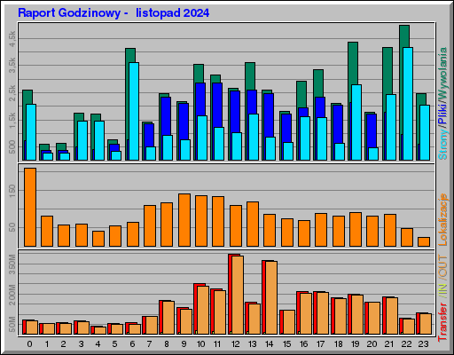Raport Godzinowy -  listopad 2024