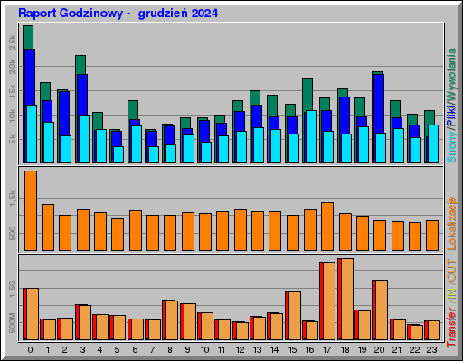 Raport Godzinowy -  grudzień 2024
