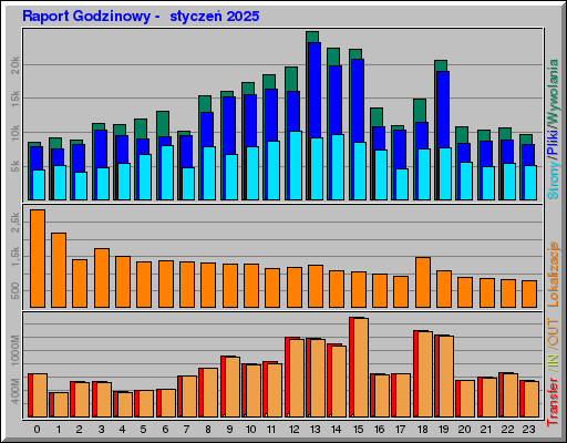 Raport Godzinowy -  styczeń 2025