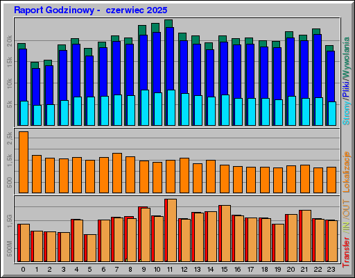 Raport Godzinowy -  czerwiec 2025