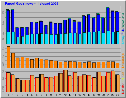 Raport Godzinowy -  listopad 2025