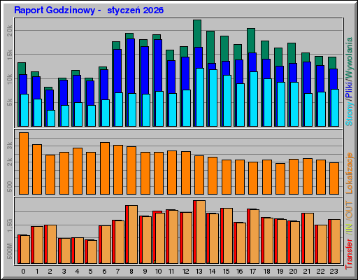 Raport Godzinowy -  styczeń 2026