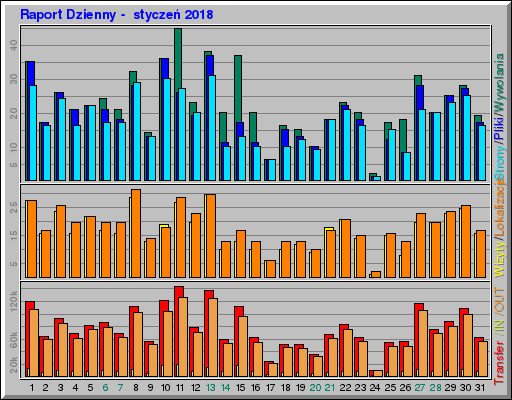 Raport Dzienny -  styczeń 2018