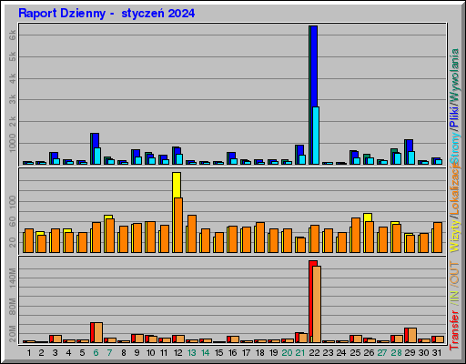 Raport Dzienny -  styczeń 2024