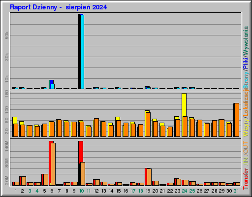 Raport Dzienny -  sierpień 2024