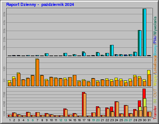Raport Dzienny -  październik 2024