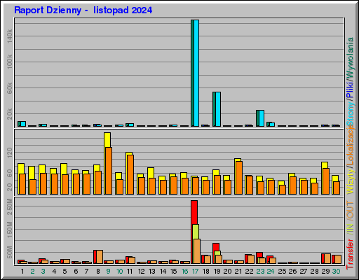 Raport Dzienny -  listopad 2024