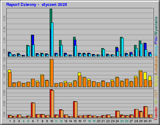 Raport Dzienny - styczeĹ 2025 Raport Dzienny - styczeĹ 2025
