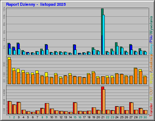Raport Dzienny -  listopad 2025