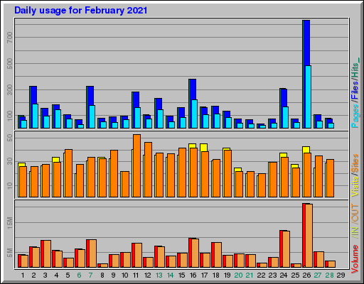 Raport Dzienny -  luty 2021