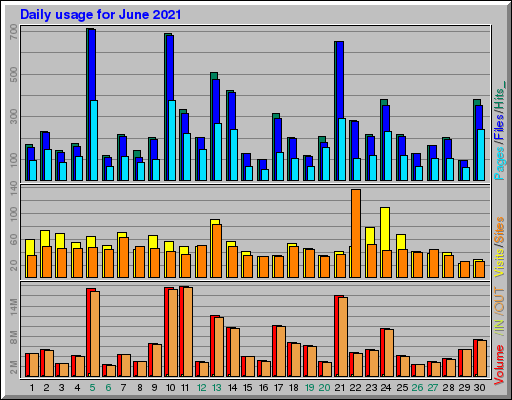 Raport Dzienny -  czerwiec 2021