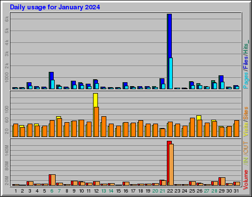 Raport Dzienny -  styczeń 2024