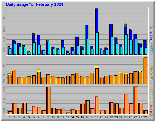 Raport Dzienny -  luty 2024
