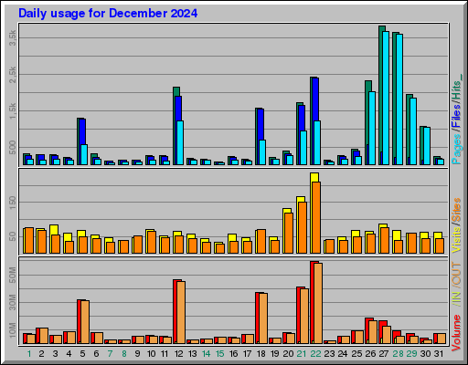 Raport Dzienny -  grudzień 2024