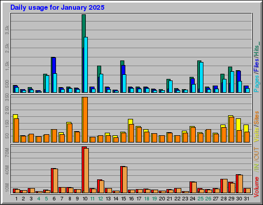 Raport Dzienny - styczeń 2025 Raport Dzienny - styczeń 2025