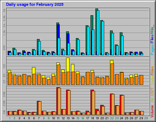 Raport Dzienny -  luty 2025