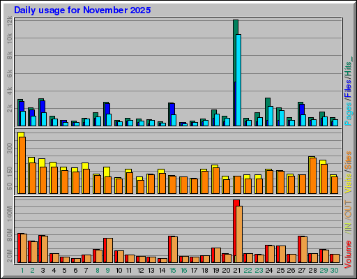 Raport Dzienny -  listopad 2025
