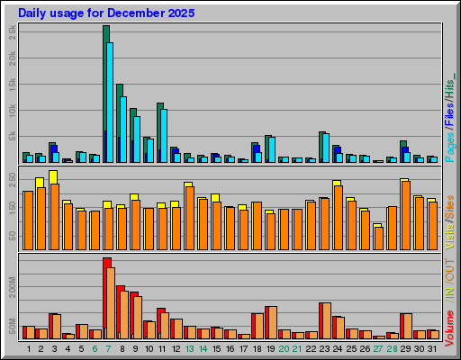 Raport Dzienny -  grudzień 2025