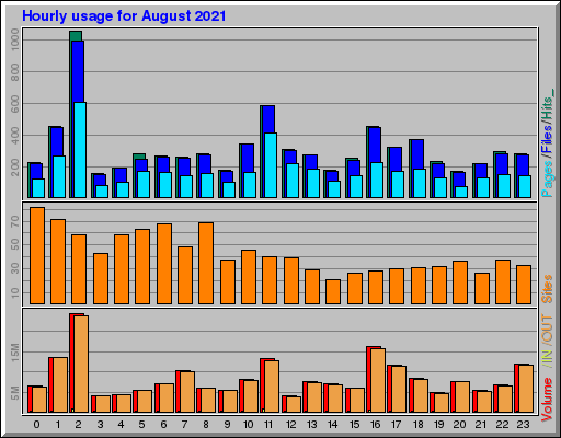 Raport Godzinowy -  sierpień 2021