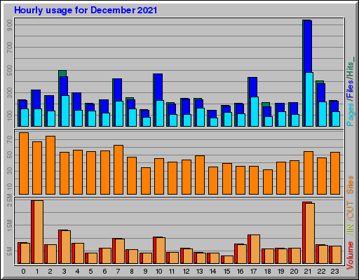 Raport Godzinowy -  grudzień 2021