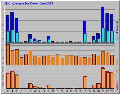 Raport Godzinowy -  grudzień 2023