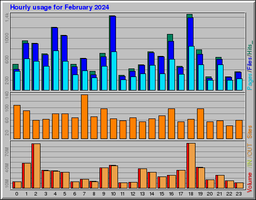 Raport Godzinowy -  luty 2024