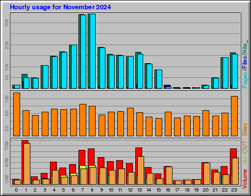 Raport Godzinowy -  listopad 2024