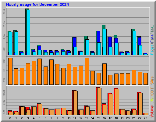 Raport Godzinowy -  grudzień 2024