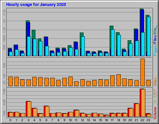 Raport Godzinowy -  styczeń 2025