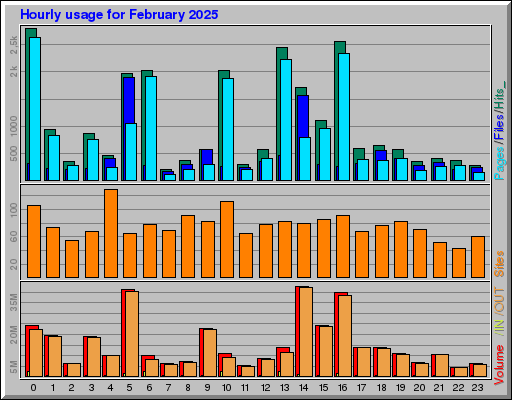 Raport Godzinowy -  luty 2025