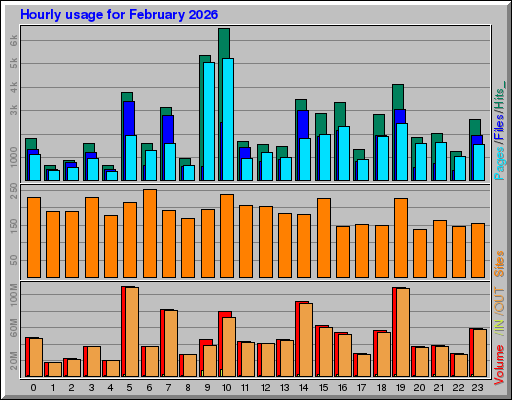 Raport Godzinowy -  luty 2026