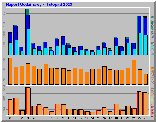 Raport Godzinowy -  listopad 2023