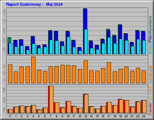 Raport Godzinowy -  Maj 2024