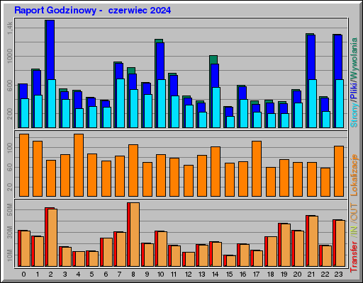 Raport Godzinowy -  czerwiec 2024