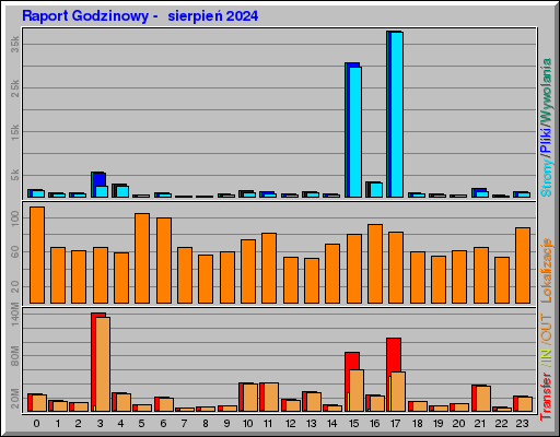 Raport Godzinowy -  sierpień 2024