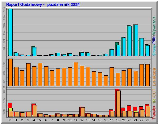 Raport Godzinowy -  październik 2024