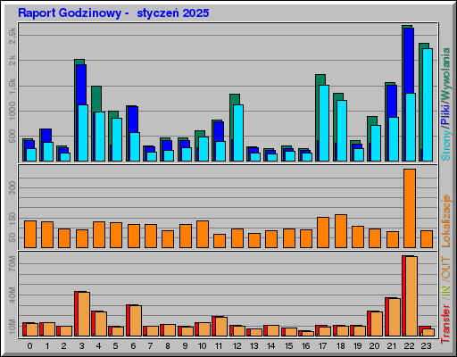 Raport Godzinowy -  styczeń 2025