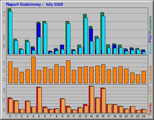 Raport Godzinowy -  luty 2025
