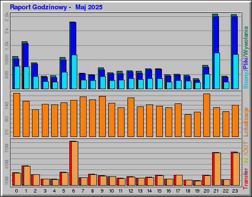 Raport Godzinowy -  Maj 2025