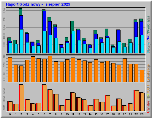 Raport Godzinowy -  sierpień 2025