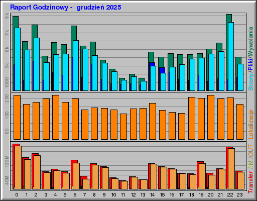 Raport Godzinowy -  grudzień 2025