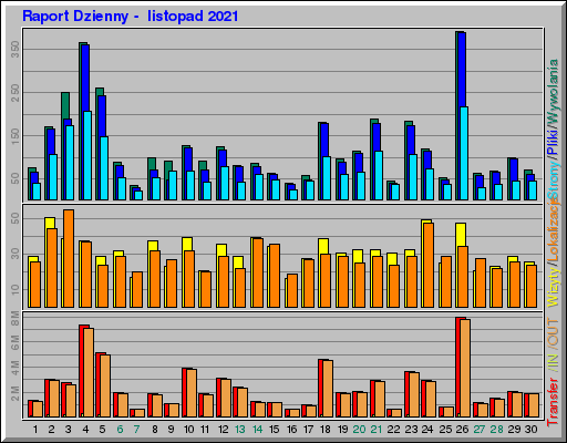 Raport Dzienny -  listopad 2021