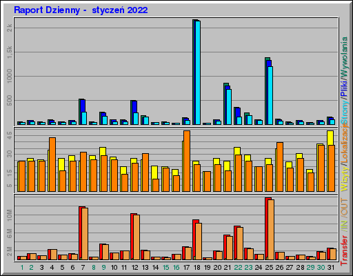 Raport Dzienny -  styczeń 2022