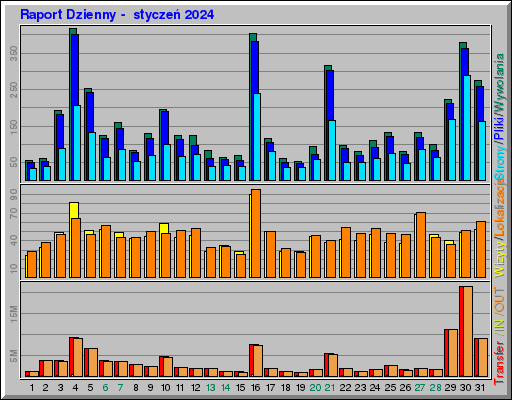 Raport Dzienny -  styczeń 2024