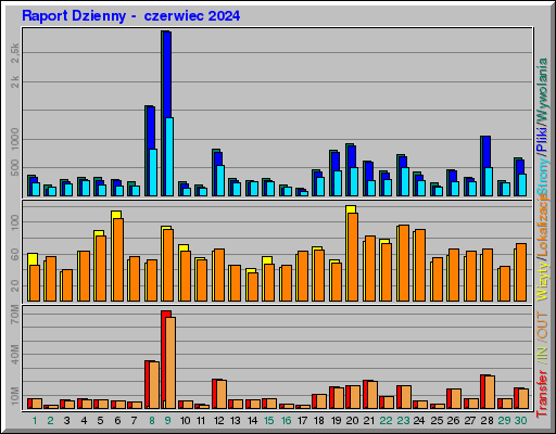Raport Dzienny -  czerwiec 2024