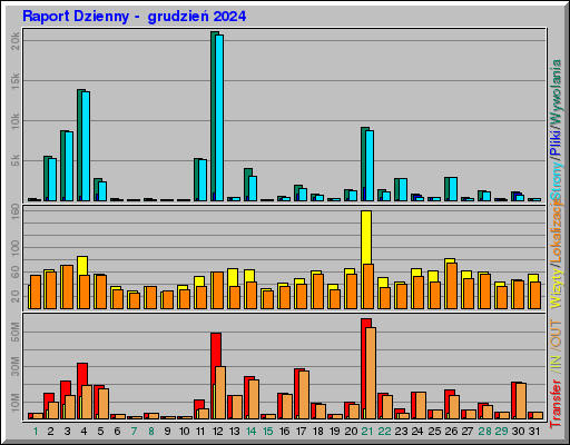 Raport Dzienny -  grudzień 2024