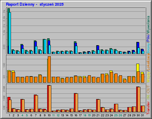 Raport Dzienny -  styczeń 2025